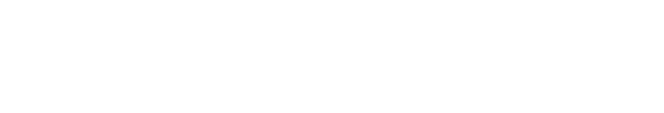 main-logo-sl-white main-logo-sl-white