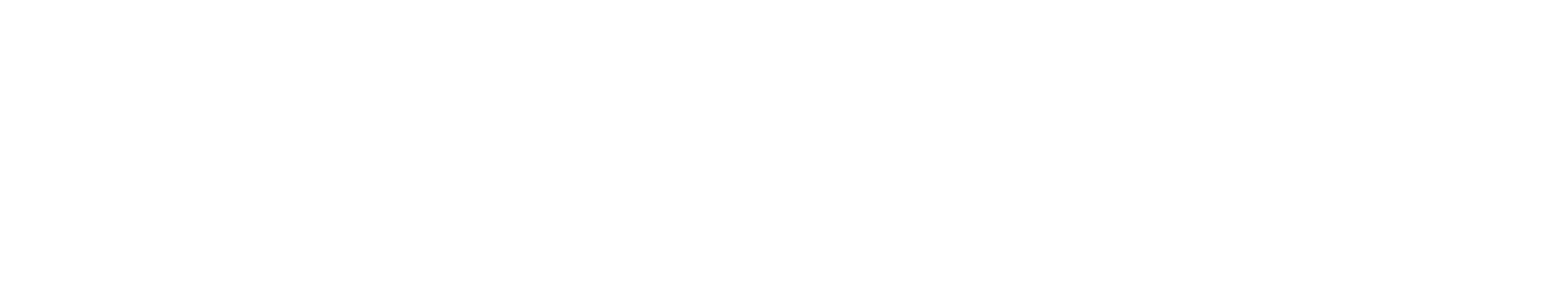 sl-nene-main-logo-white